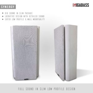 Synergy Wall Mount Speaker