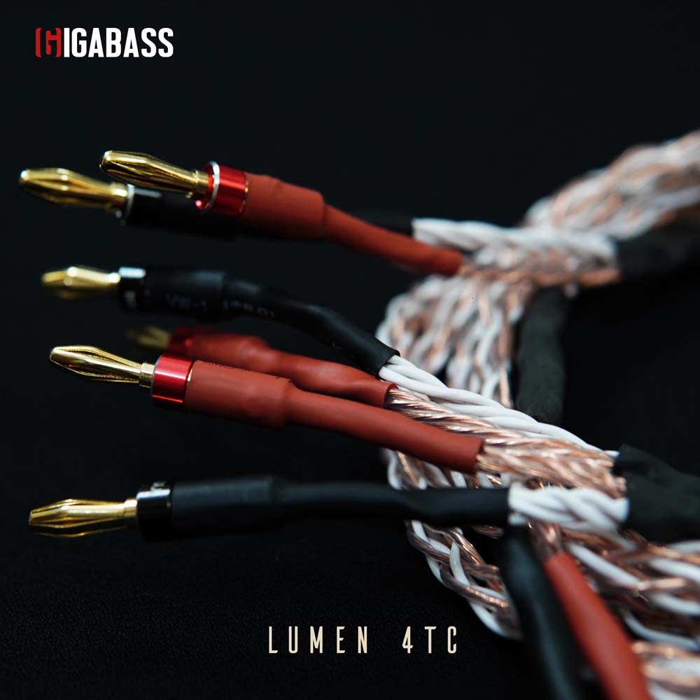 Lumen 4TC Hifi Audio Cable - Image 3