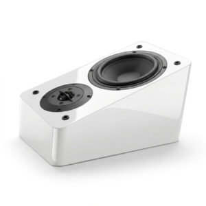 Reflex Surround Speaker